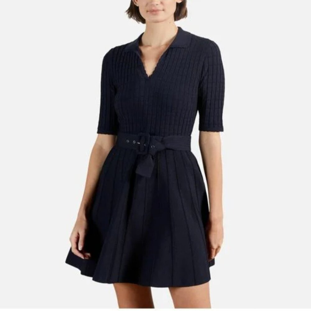 Ted Baker Alee Knit Skater Dress
